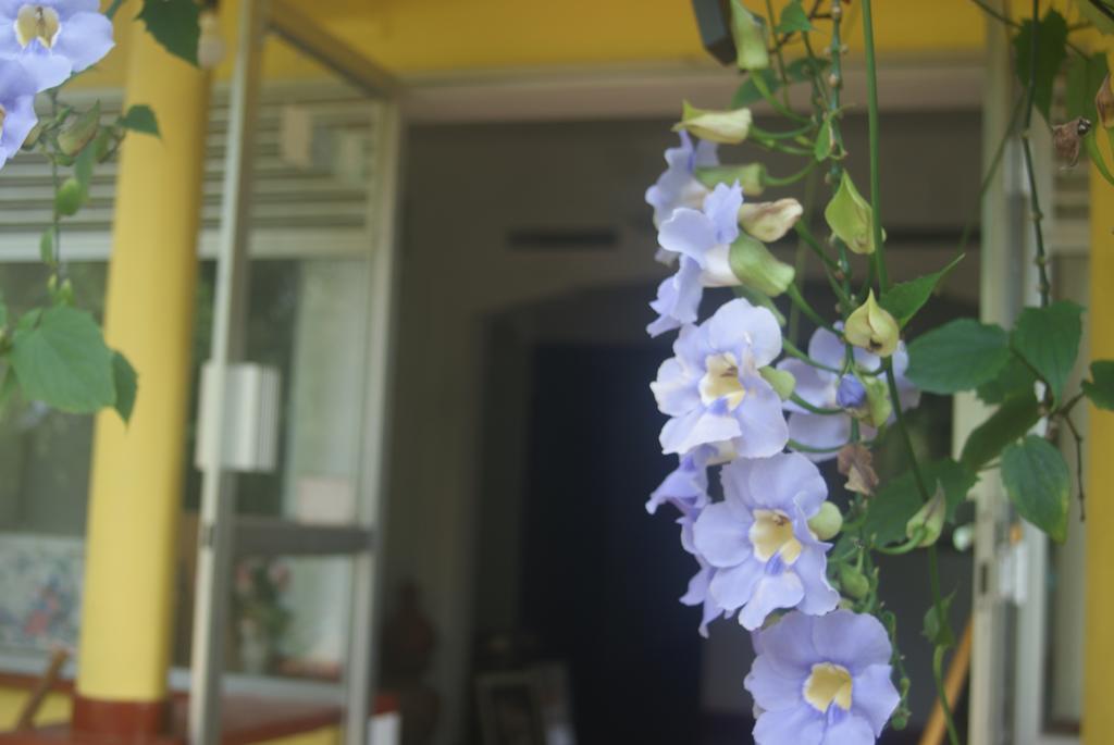 Ananda Home Stay And Restaurant Тангалла Экстерьер фото