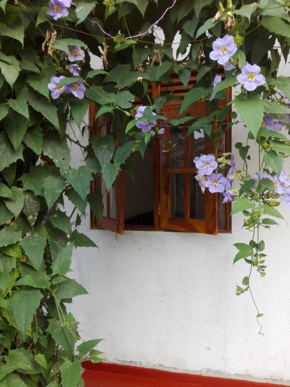 Ananda Home Stay And Restaurant Тангалла Экстерьер фото